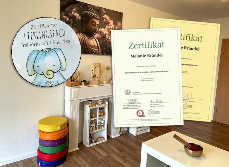 meine Qualifikationen